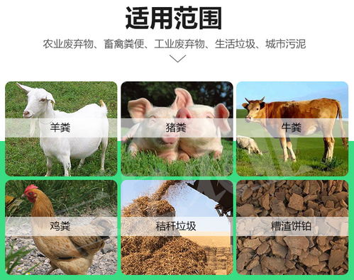三億農(nóng)業(yè)助力綠色循環(huán) 豬糞與黃牛糞有機(jī)肥生產(chǎn)設(shè)備引領(lǐng)玉樹生態(tài)新篇章